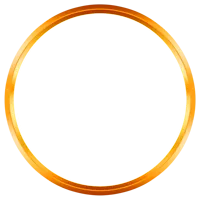 1xbet